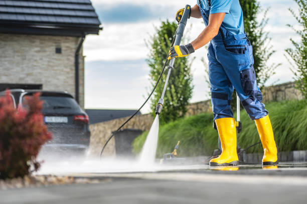 Best Driveway Pressure Washing  in Point Venture, TX